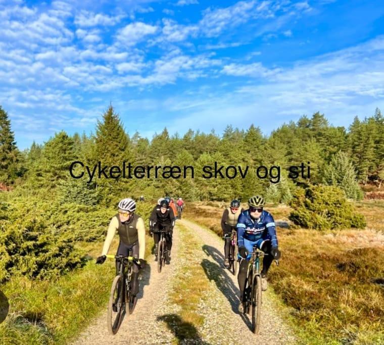 Mindedalen - Idyl Taet Pa Alt Og Helt I Fred Apartment Billum Exterior foto