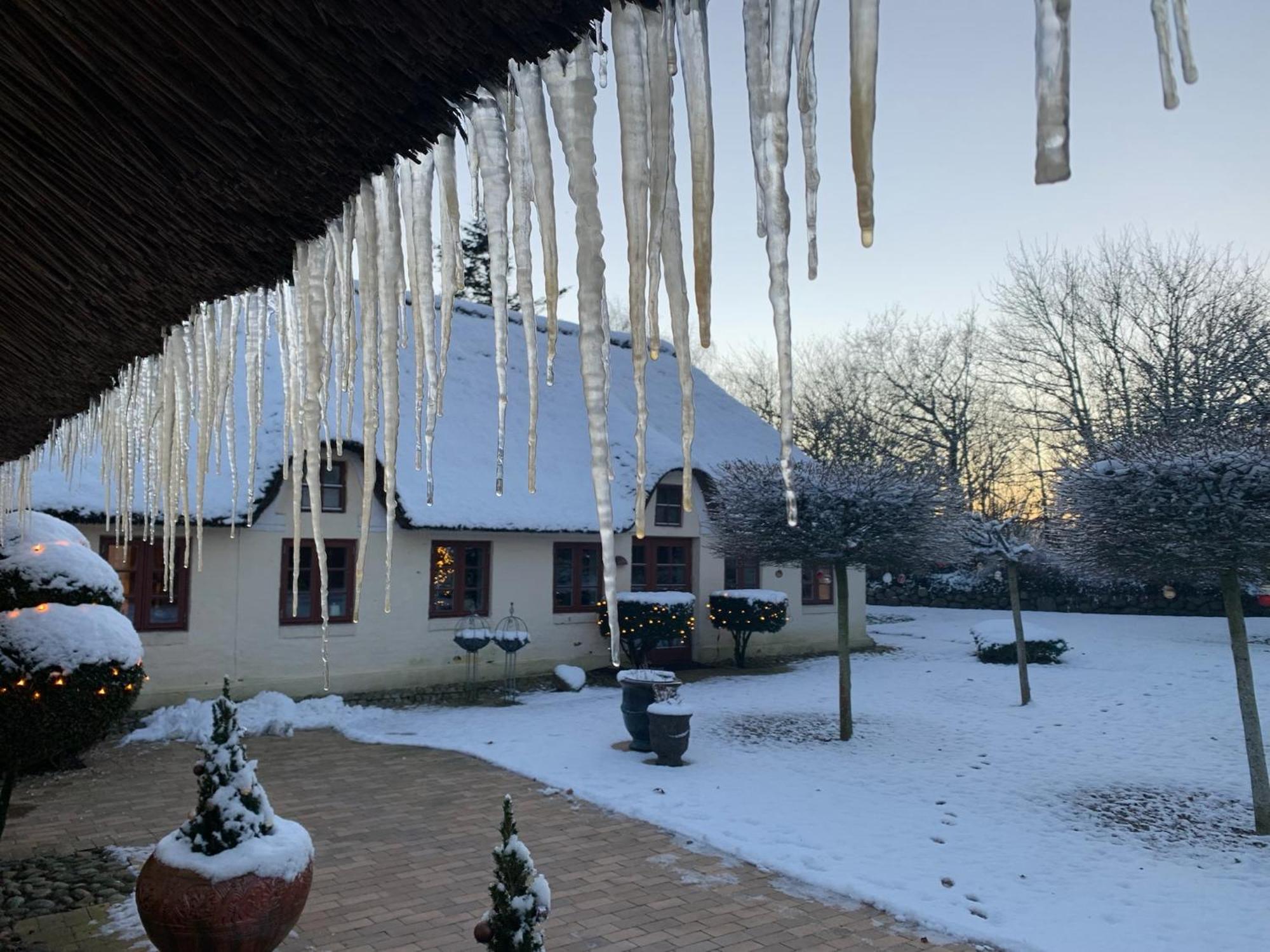 Mindedalen - Idyl Taet Pa Alt Og Helt I Fred Apartment Billum Exterior foto